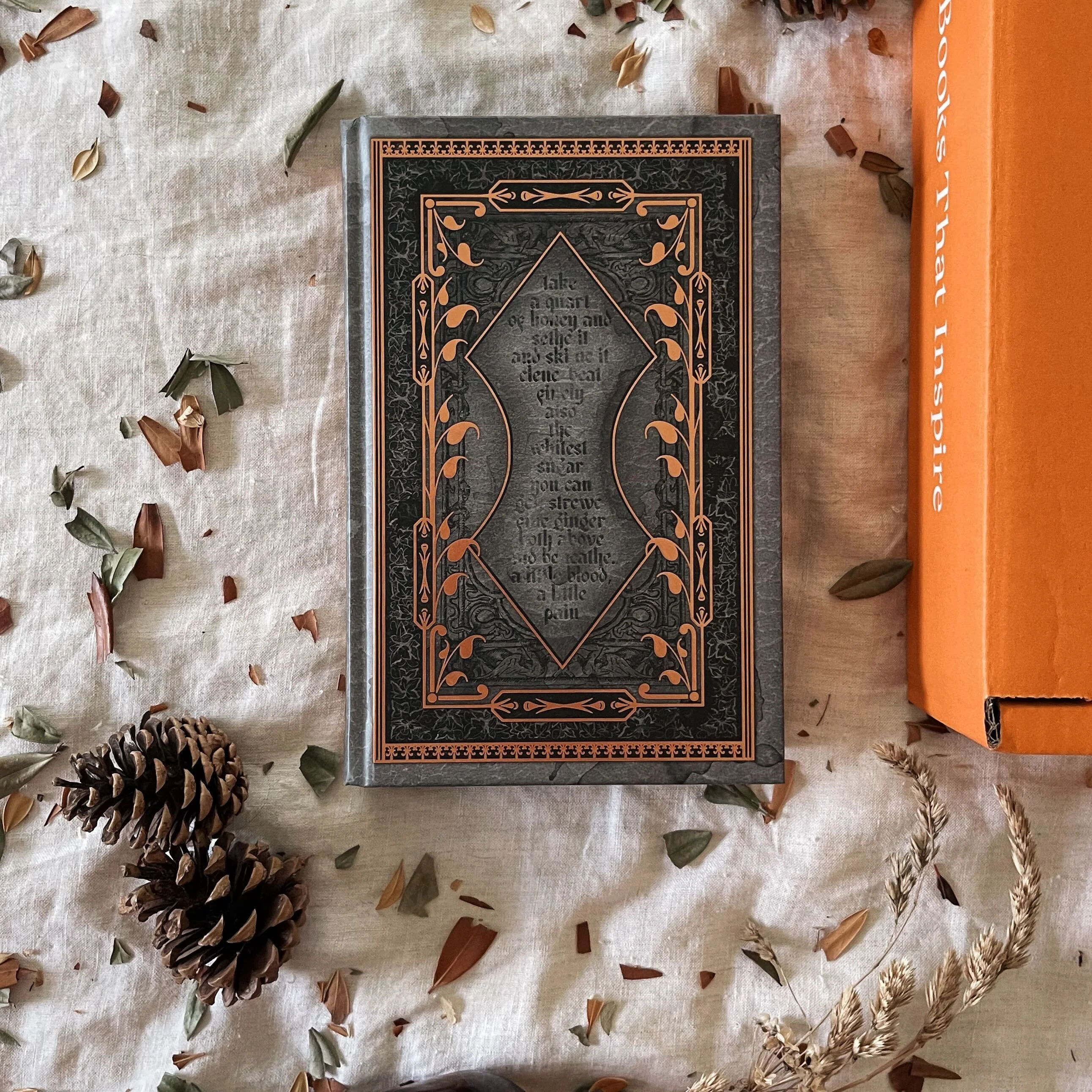 After the Forest by Kell Woods Book Only (Illumicrate 'Fairytale Forests' Exclusive) - Image 2