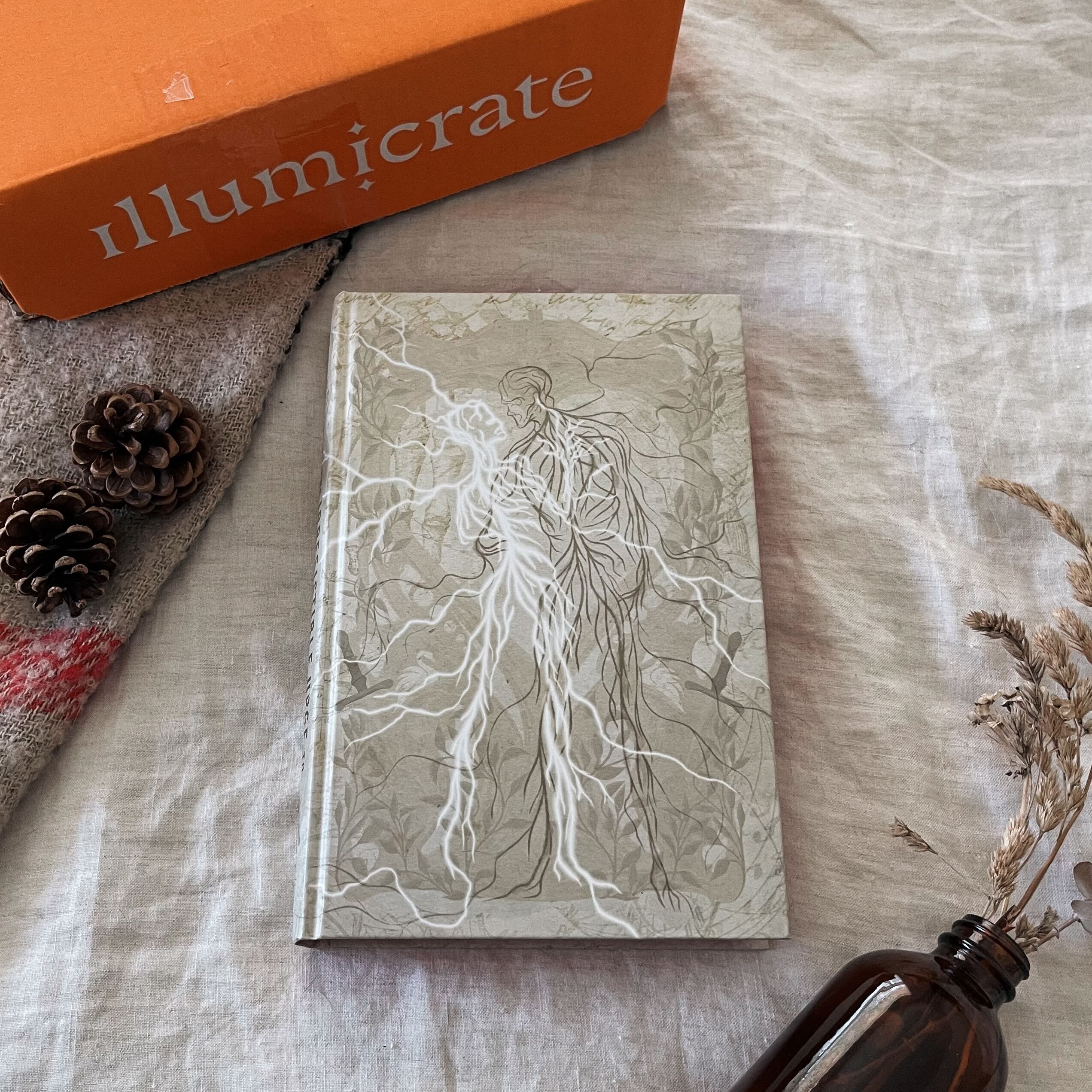 The Irresistible Urge to Fall for Your Enemy by Brigette Knightley book only (Illumicrate 'Yours Hatefully' Exclusive) - Image 2