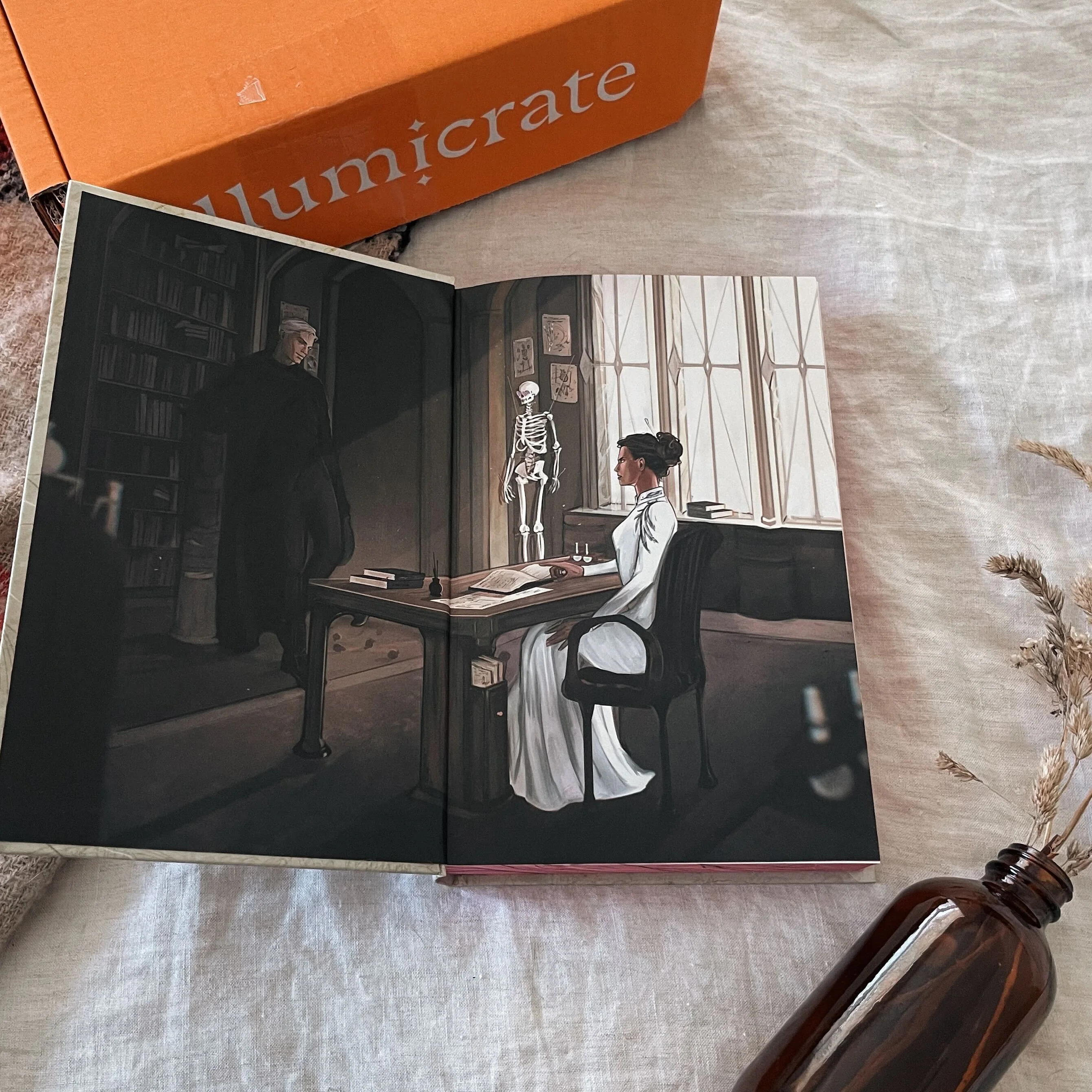 The Irresistible Urge to Fall for Your Enemy by Brigette Knightley book only (Illumicrate 'Yours Hatefully' Exclusive) - Image 3