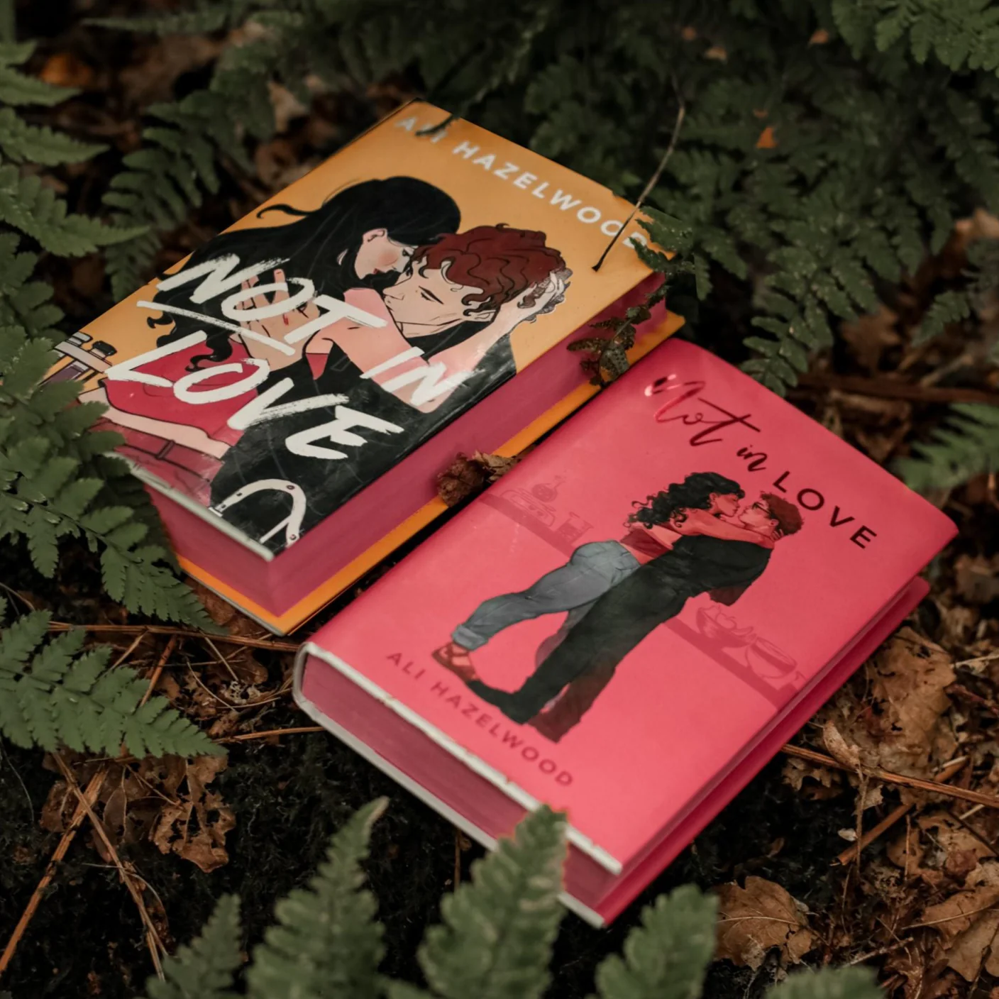 Not In Love by Ali Hazelwood with alternate dust jacket (Afterlight Exclusive)
