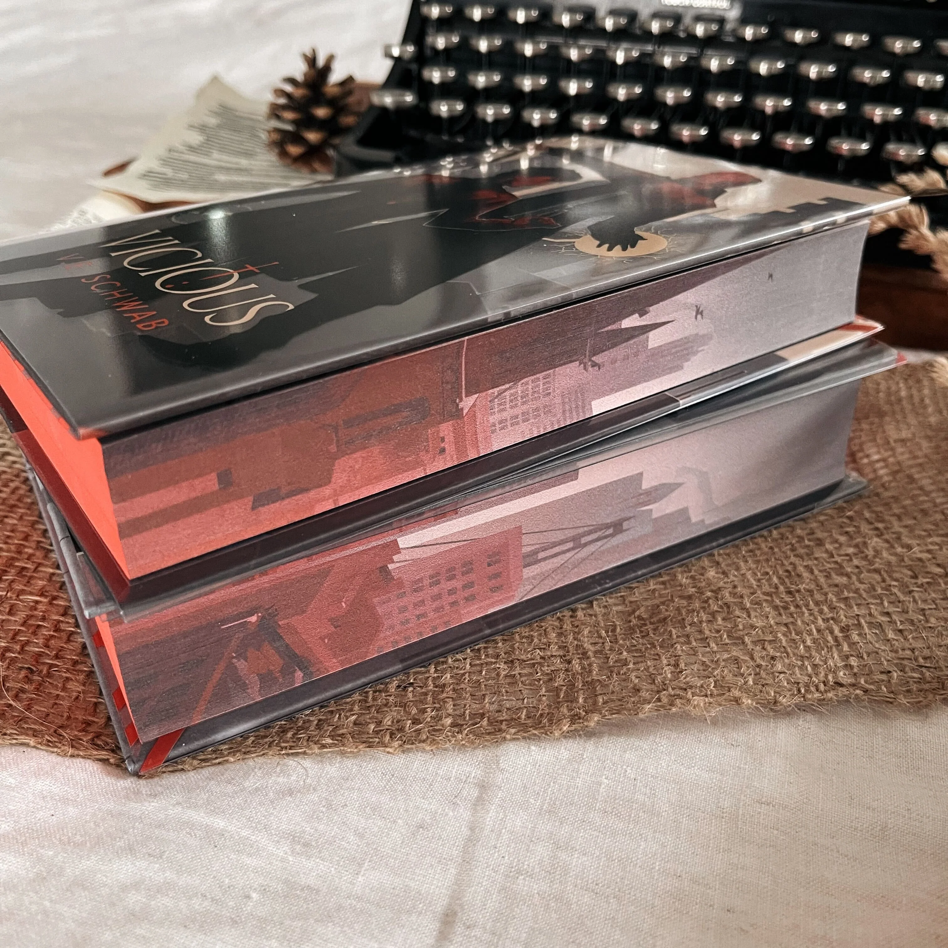 Vicious & Vengeful set by V.E. Schwab (Illumicrate Exclusive) - Image 4